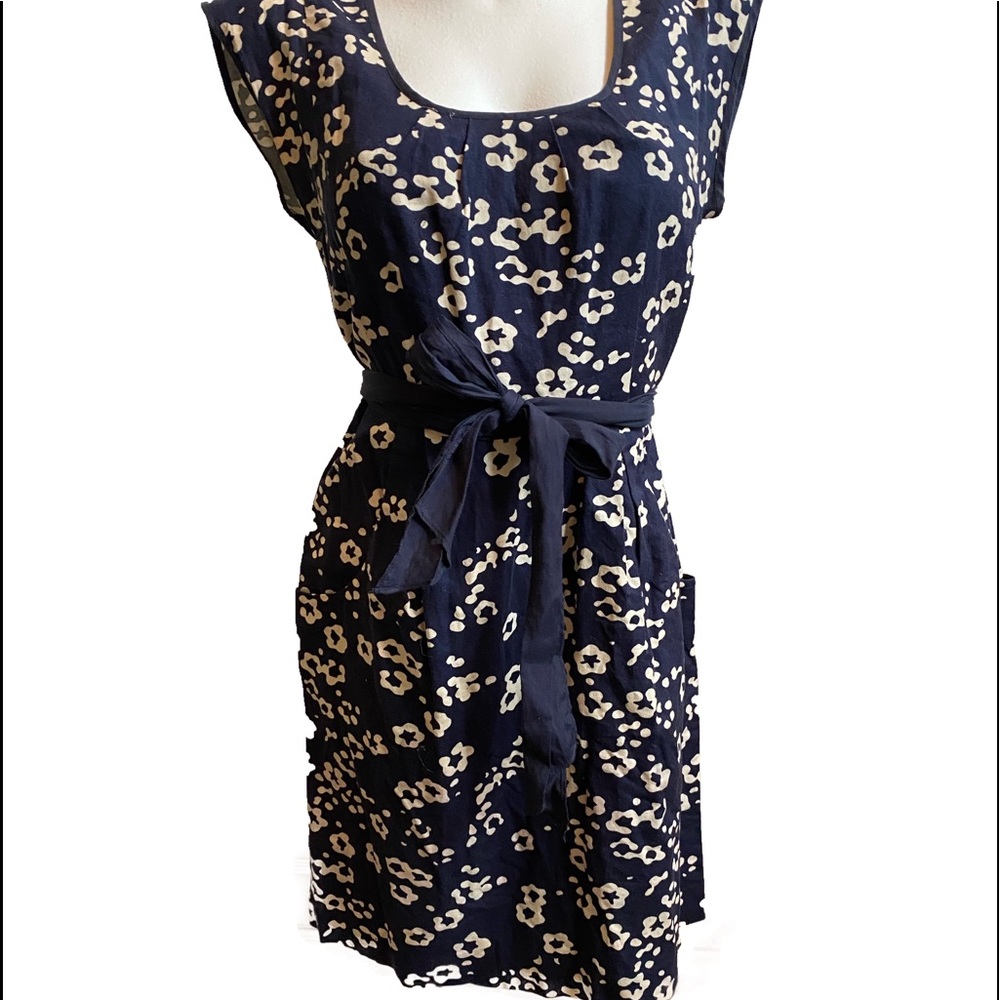 Ann Taylor Loft blue print Dress